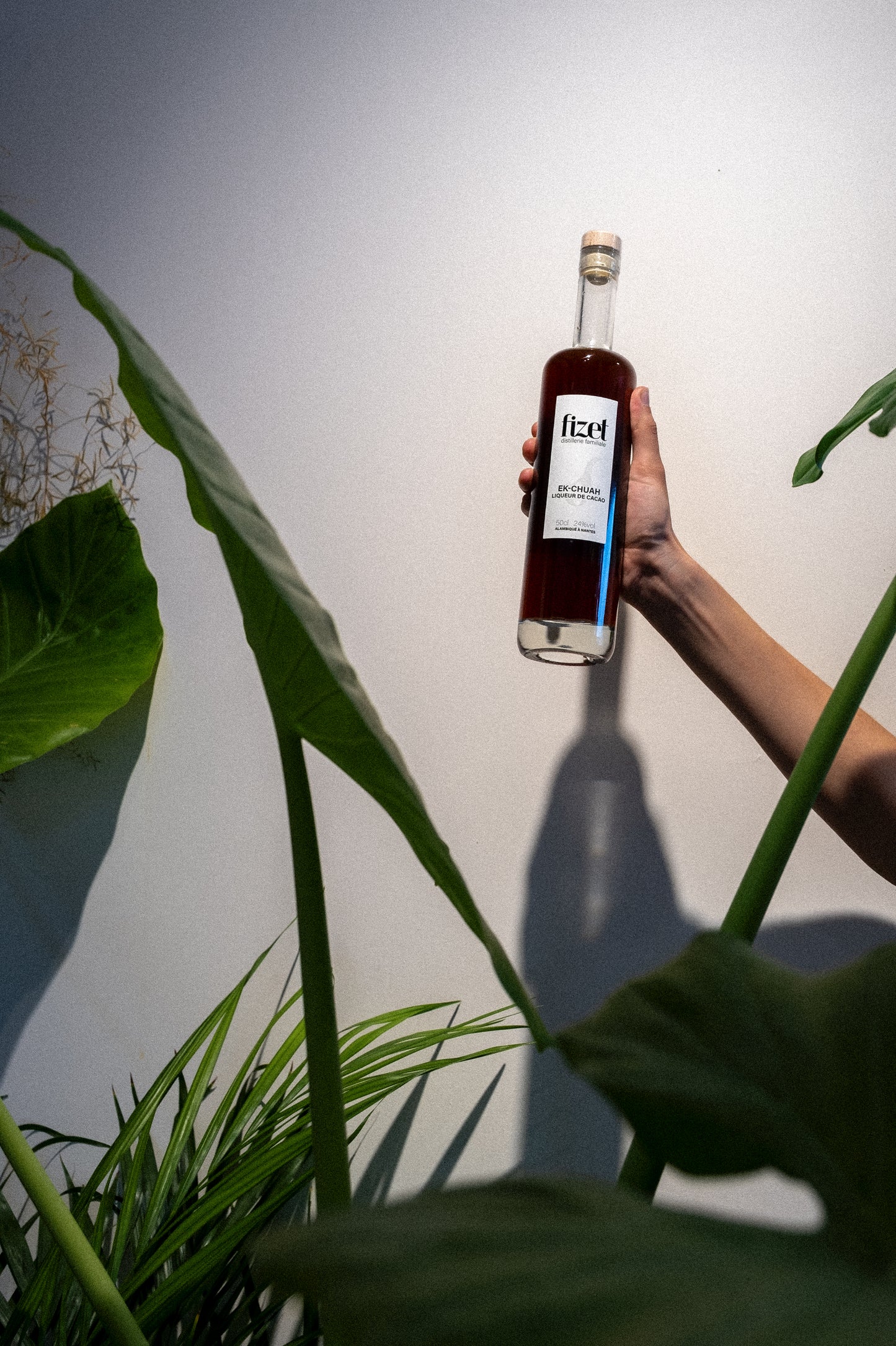 EK-CHUAH - Liqueur de cacao